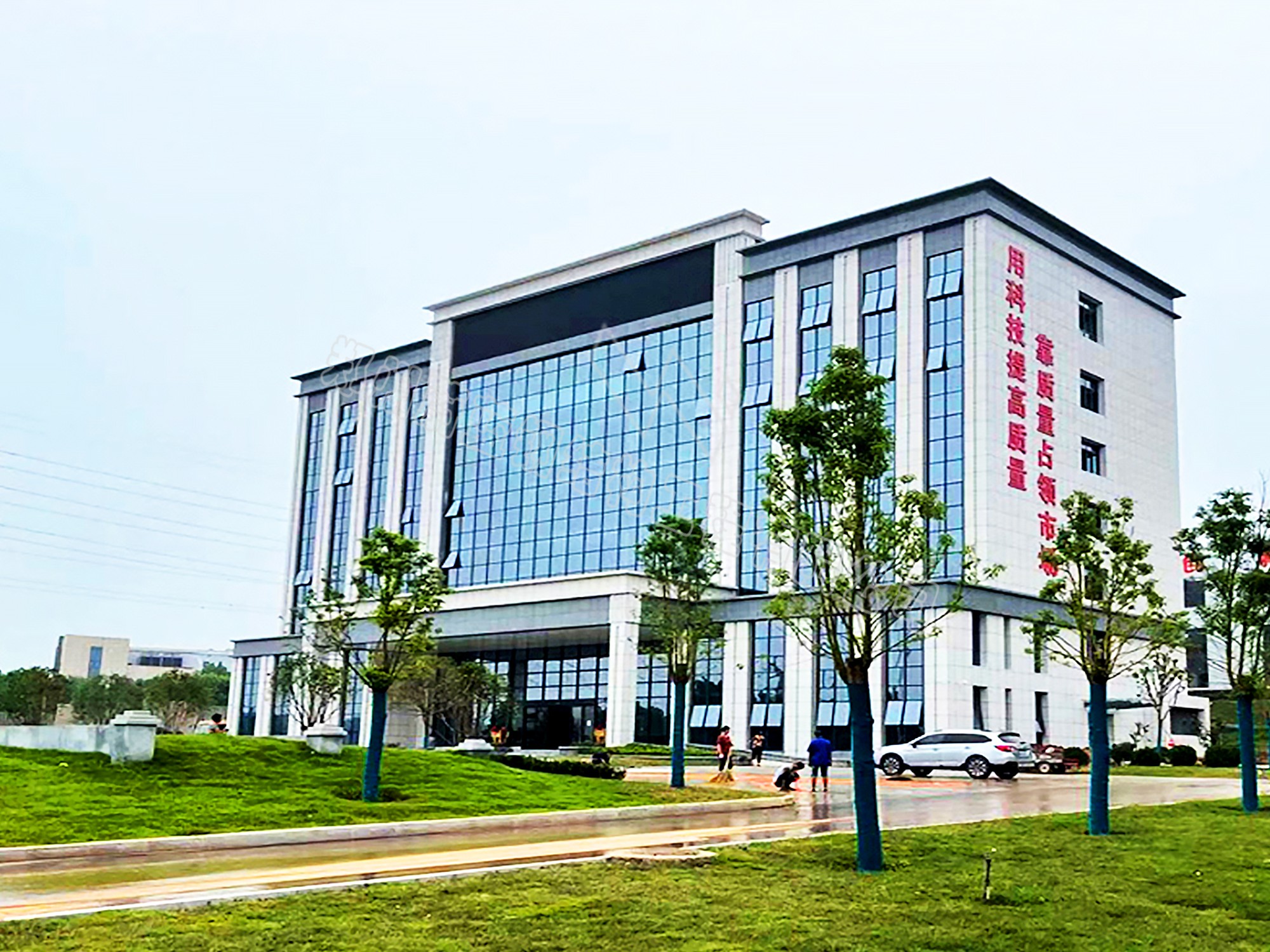 洛陽新強(qiáng)聯(lián)辦公樓